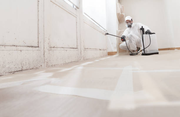 24/7 Emergency Mold Removal experts in Norwood, MA
